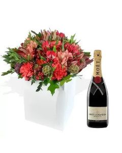 Box Mixes de Astromelias + Moet Chandon