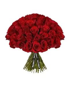 BUQUE ENCANTO VERMELHO