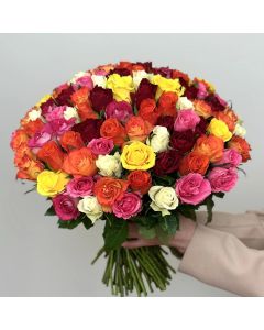 BUQUE PRIMAVERA