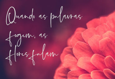 Banner_home_02